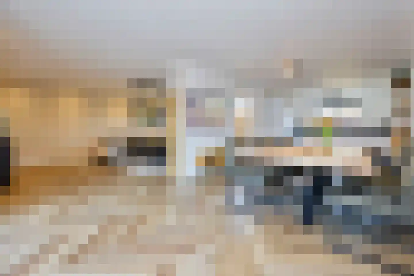 Primulastraat 22 Purmerend thumbnail 19