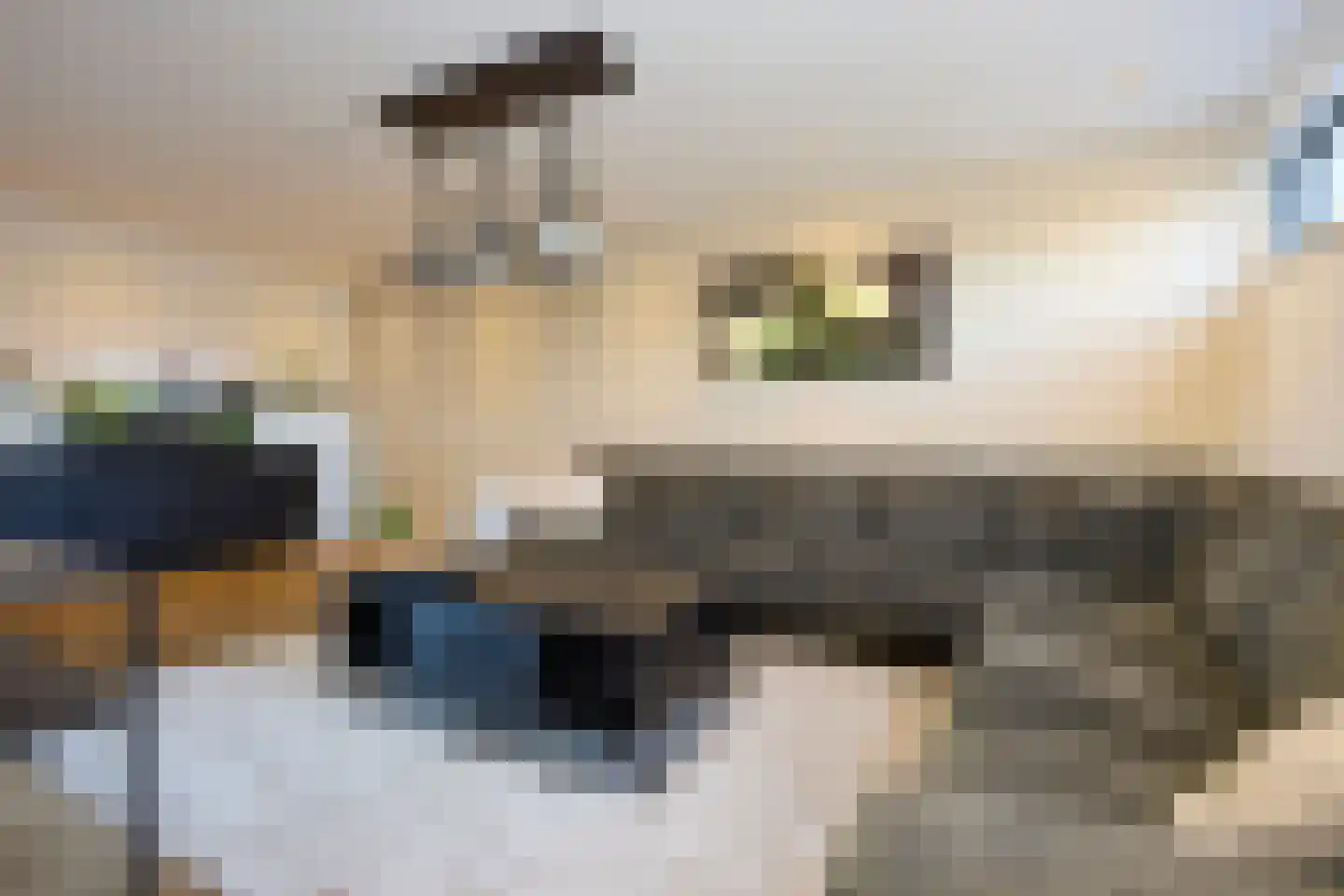 Primulastraat 22 Purmerend thumbnail 22