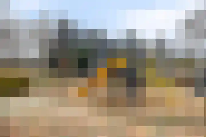 Primulastraat 23 Drunen thumbnail 29