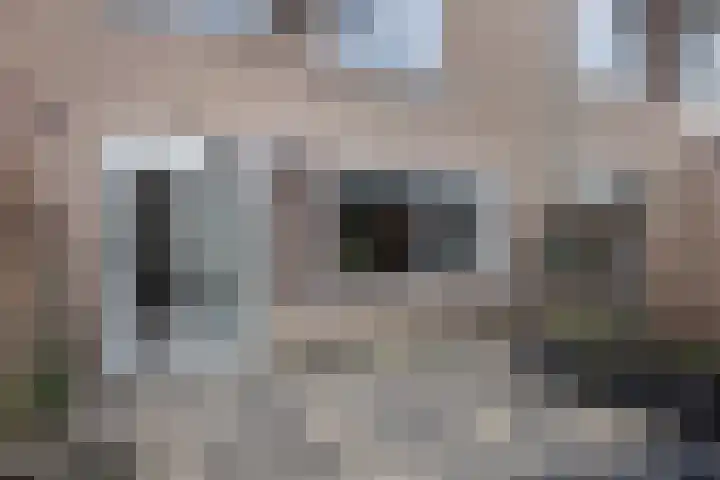 Primulastraat 25 Eibergen thumbnail 29