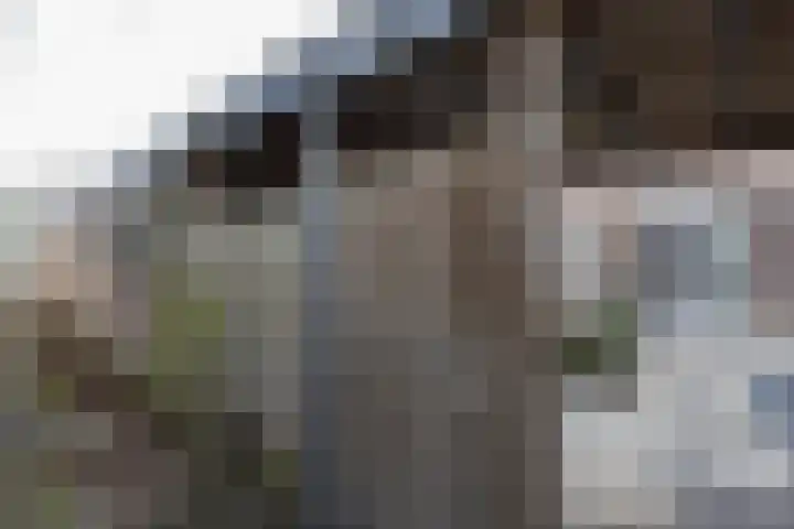 Primulastraat 25 Eibergen thumbnail 32