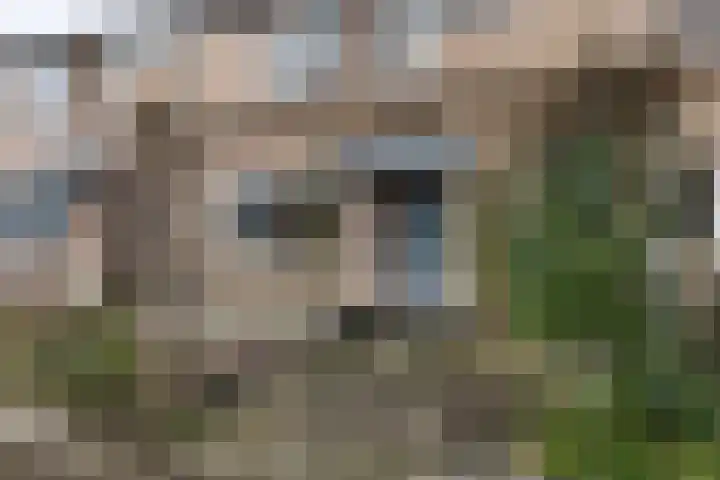 Primulastraat 25 Eibergen thumbnail 33