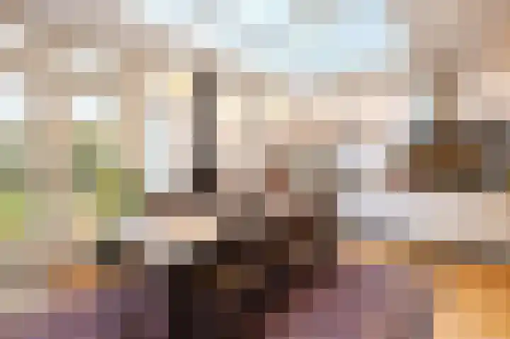 Primulastraat 26 Eindhoven thumbnail 13