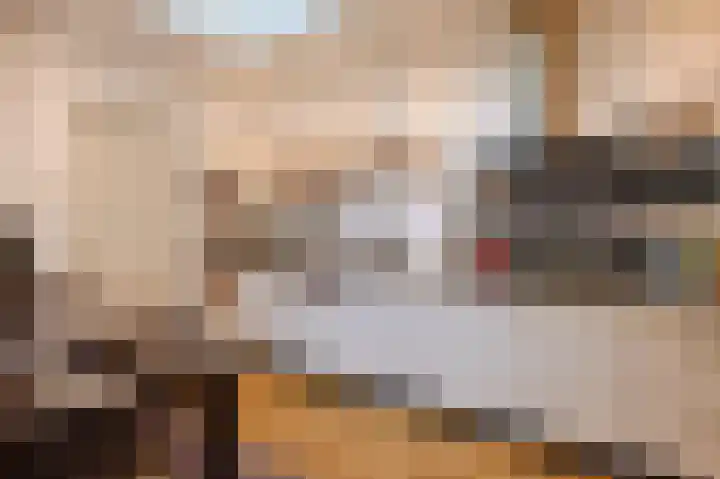 Primulastraat 26 Eindhoven thumbnail 14