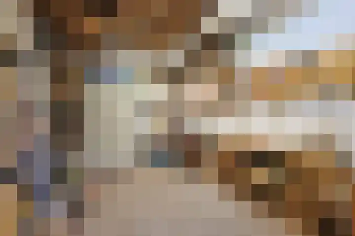 Primulastraat 26 Eindhoven thumbnail 41