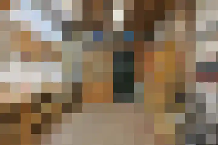 Primulastraat 26 Eindhoven thumbnail 42