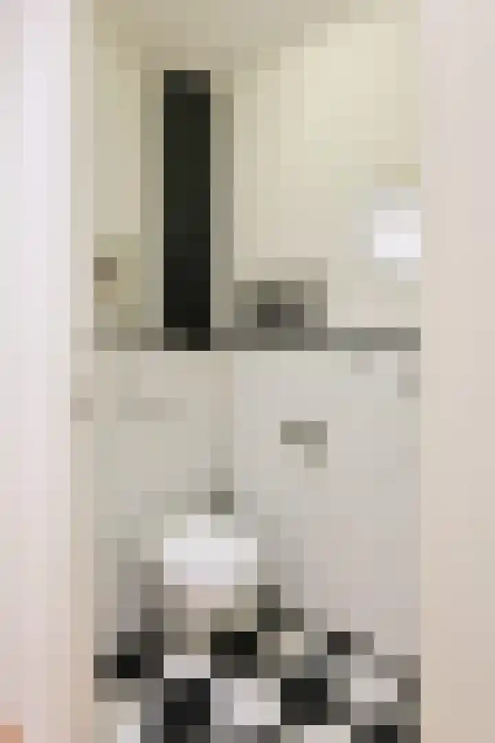 Primulastraat 26 Eindhoven thumbnail 7