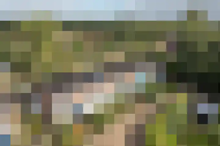 Primulastraat 26 Heerenveen thumbnail 28