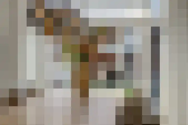 Primulastraat 26 Rosmalen thumbnail 7