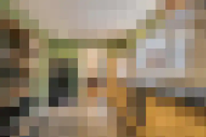 Primulastraat 27 Almelo thumbnail 14