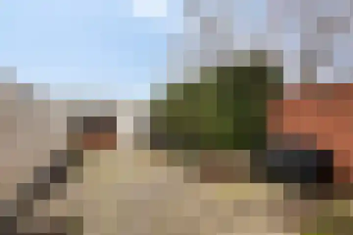 Primulastraat 27 Almelo thumbnail 28