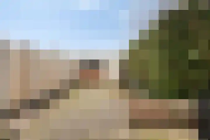 Primulastraat 27 Almelo thumbnail 29