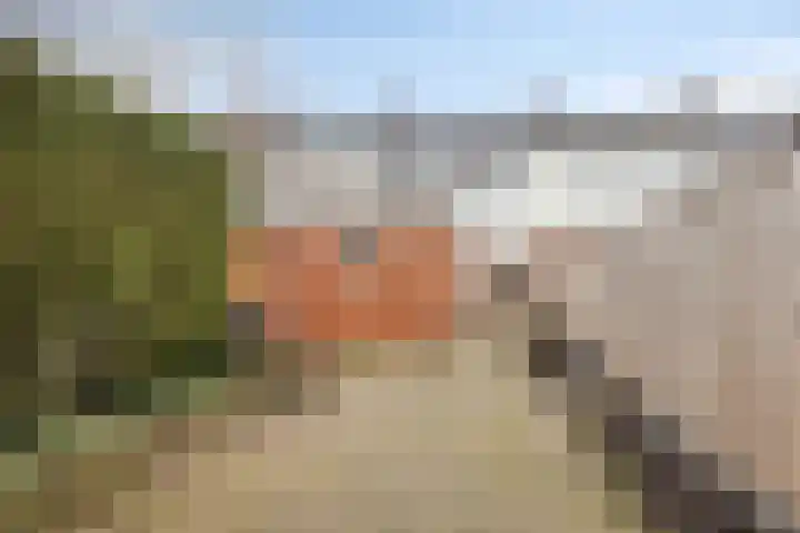 Primulastraat 27 Almelo thumbnail 30