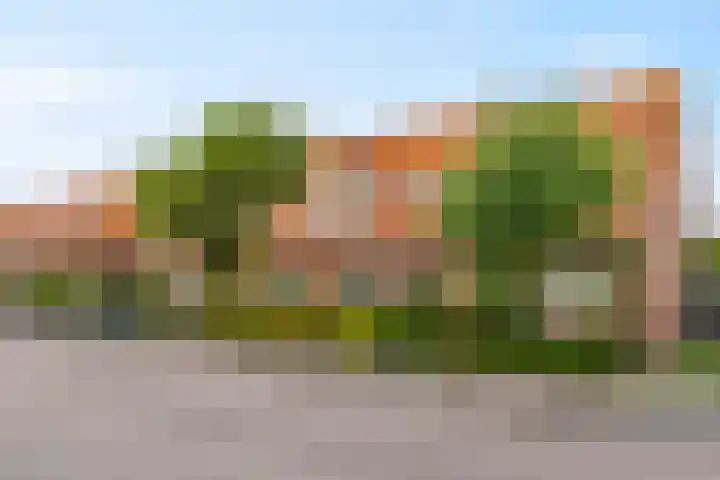 Primulastraat 34 Aalsmeer thumbnail 5