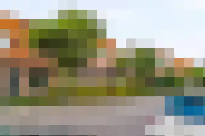 Primulastraat 34 Aalsmeer thumbnail 6