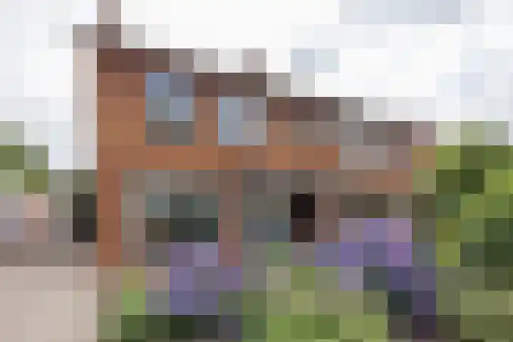 Primulastraat 34 Oldenzaal thumbnail 26