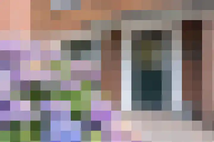 Primulastraat 34 Oldenzaal thumbnail 4