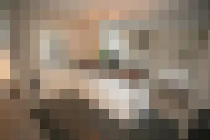 Primulastraat 35 Wierden thumbnail 14