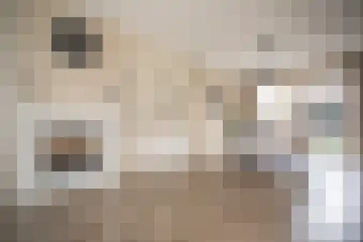 Primulastraat 35 Wierden thumbnail 18