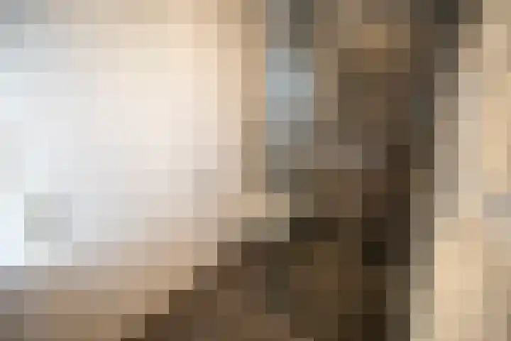 Primulastraat 35 Wierden thumbnail 35