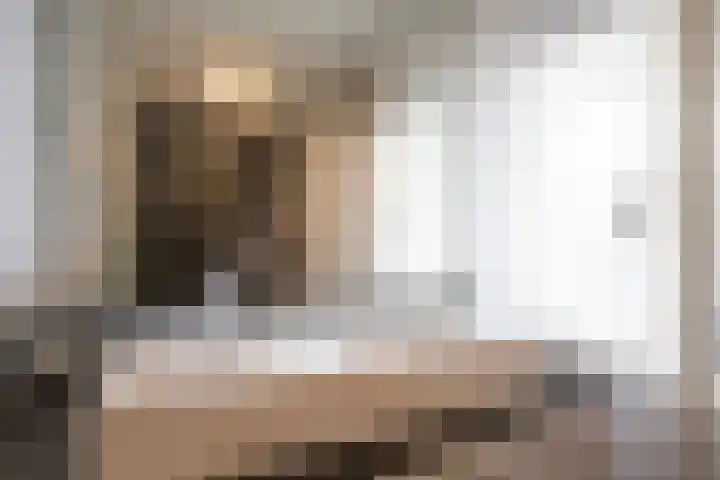 Primulastraat 35 Wierden thumbnail 36
