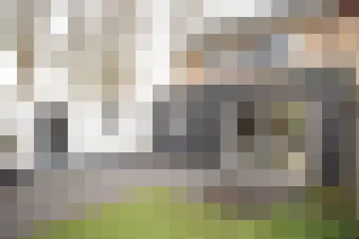 Primulastraat 35 Wierden thumbnail 41