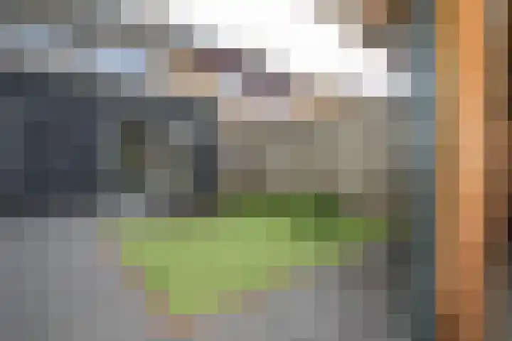 Primulastraat 35 Wierden thumbnail 43