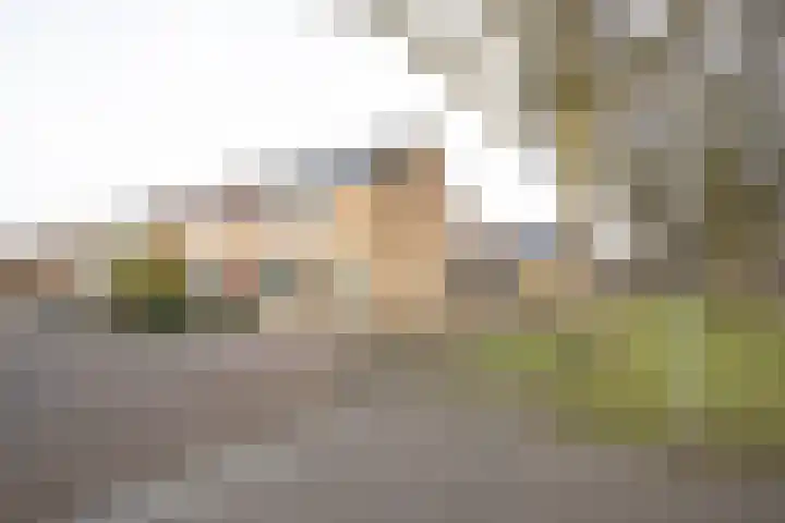 Primulastraat 35 Wierden thumbnail 51