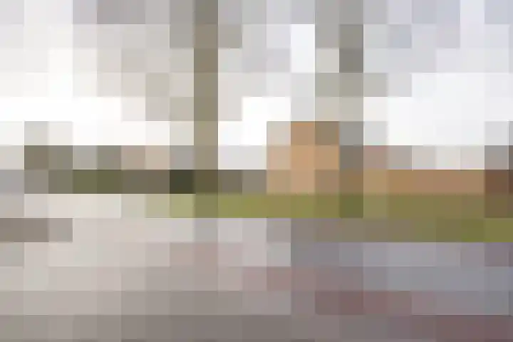 Primulastraat 35 Wierden thumbnail 53