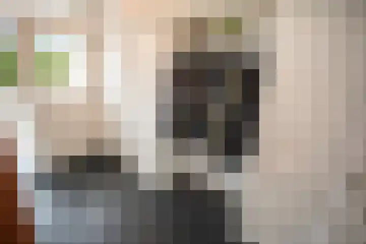 Primulastraat 35 Wierden thumbnail 9