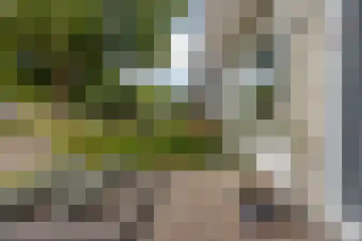 Primulastraat 38 Heerenveen thumbnail 10