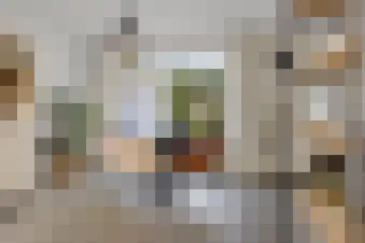 Primulastraat 38 Heerenveen thumbnail 15