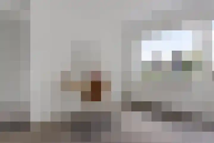 Primulastraat 38 Heerenveen thumbnail 26