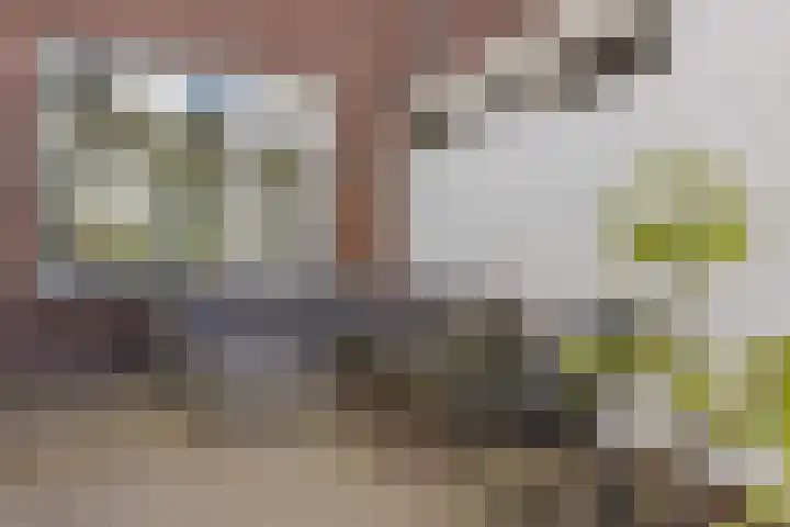 Primulastraat 38 Heerenveen thumbnail 36