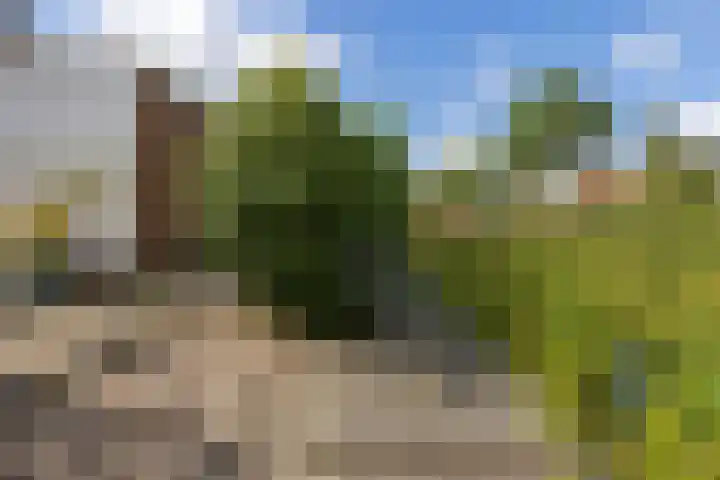 Primulastraat 38 Heerenveen thumbnail 38