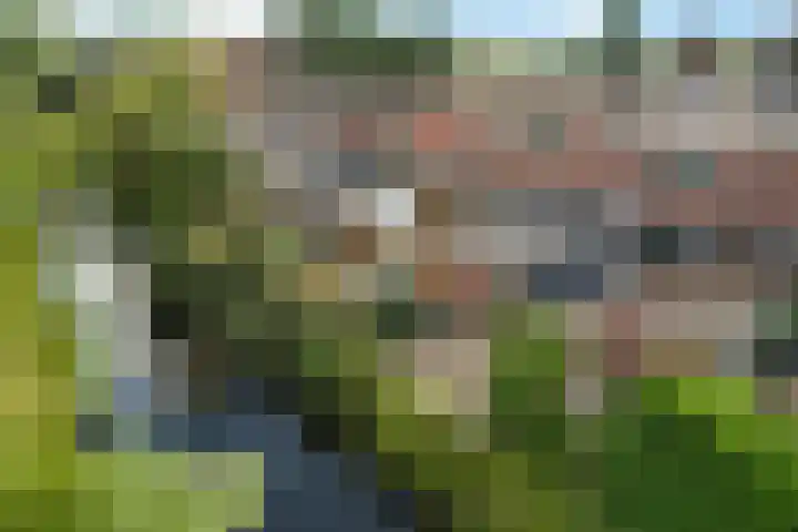 Primulastraat 38 Heerenveen thumbnail 45