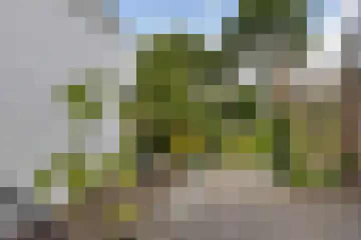 Primulastraat 38 Heerenveen thumbnail 5