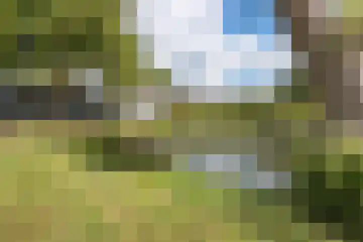 Primulastraat 38 Heerenveen thumbnail 8