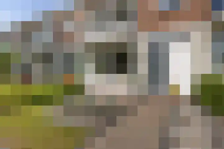 Primulastraat 38 Heerenveen thumbnail 9