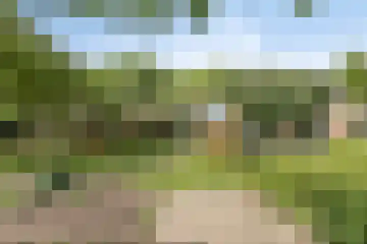 Primulastraat 39 Purmerend thumbnail 37