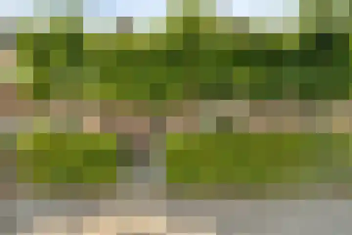 Primulastraat 39 Purmerend thumbnail 5