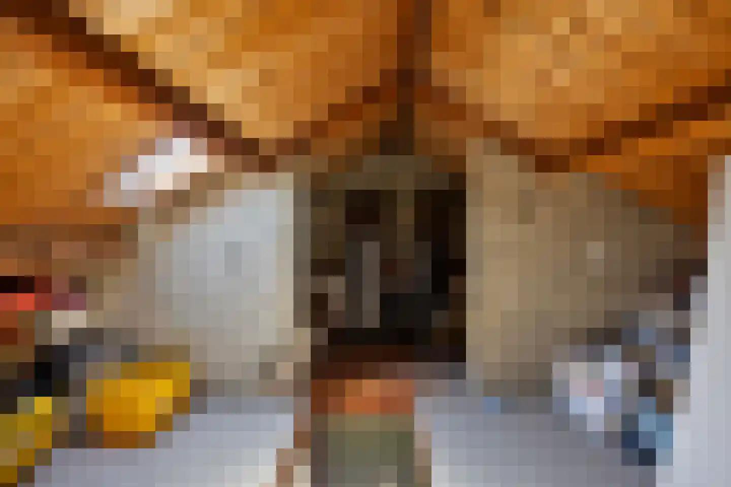 Primulastraat 4 Drunen thumbnail 19