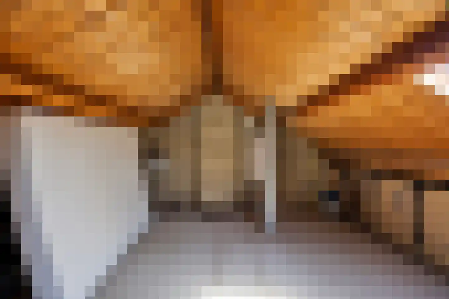 Primulastraat 4 Drunen thumbnail 20