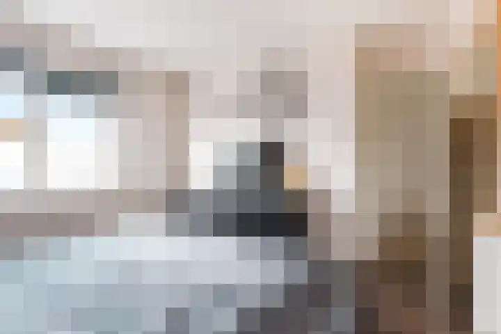 Primulastraat 4 Zwolle thumbnail 10