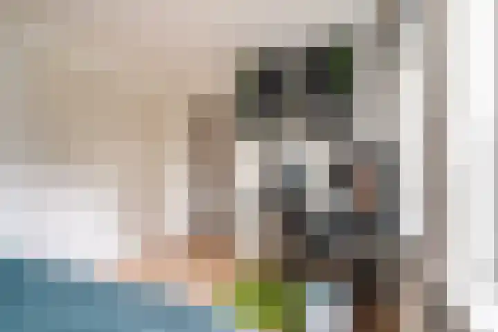 Primulastraat 4 Zwolle thumbnail 14
