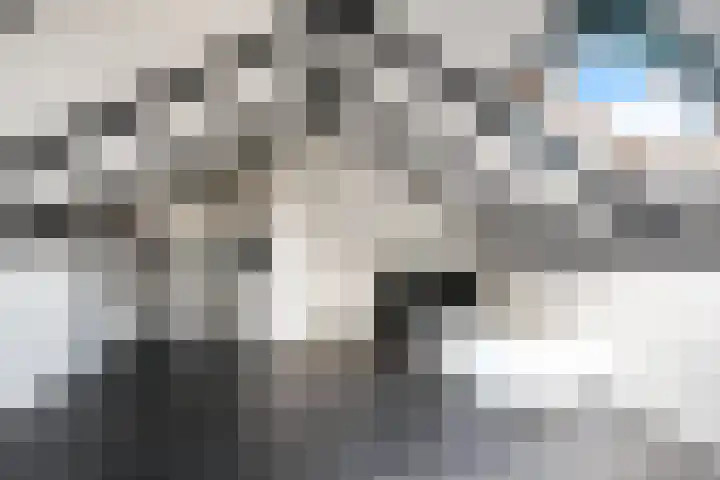 Primulastraat 4 Zwolle thumbnail 17