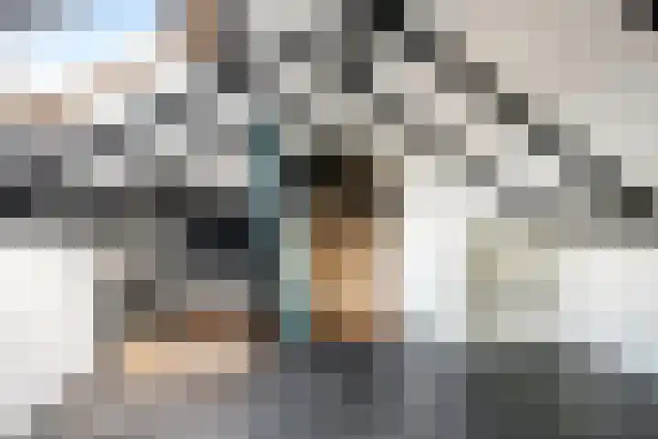 Primulastraat 4 Zwolle thumbnail 18