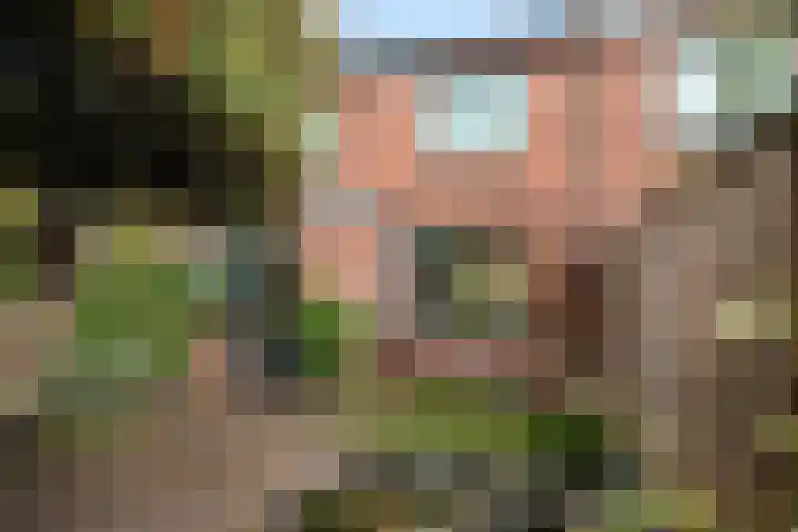 Primulastraat 4 Zwolle thumbnail 19