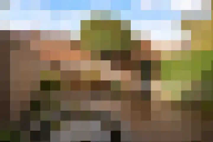 Primulastraat 4 Zwolle thumbnail 20
