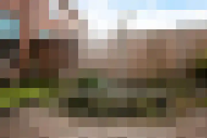 Primulastraat 4 Zwolle thumbnail 21